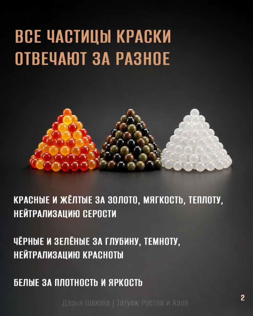 СЕРЫЕ БРОВИ